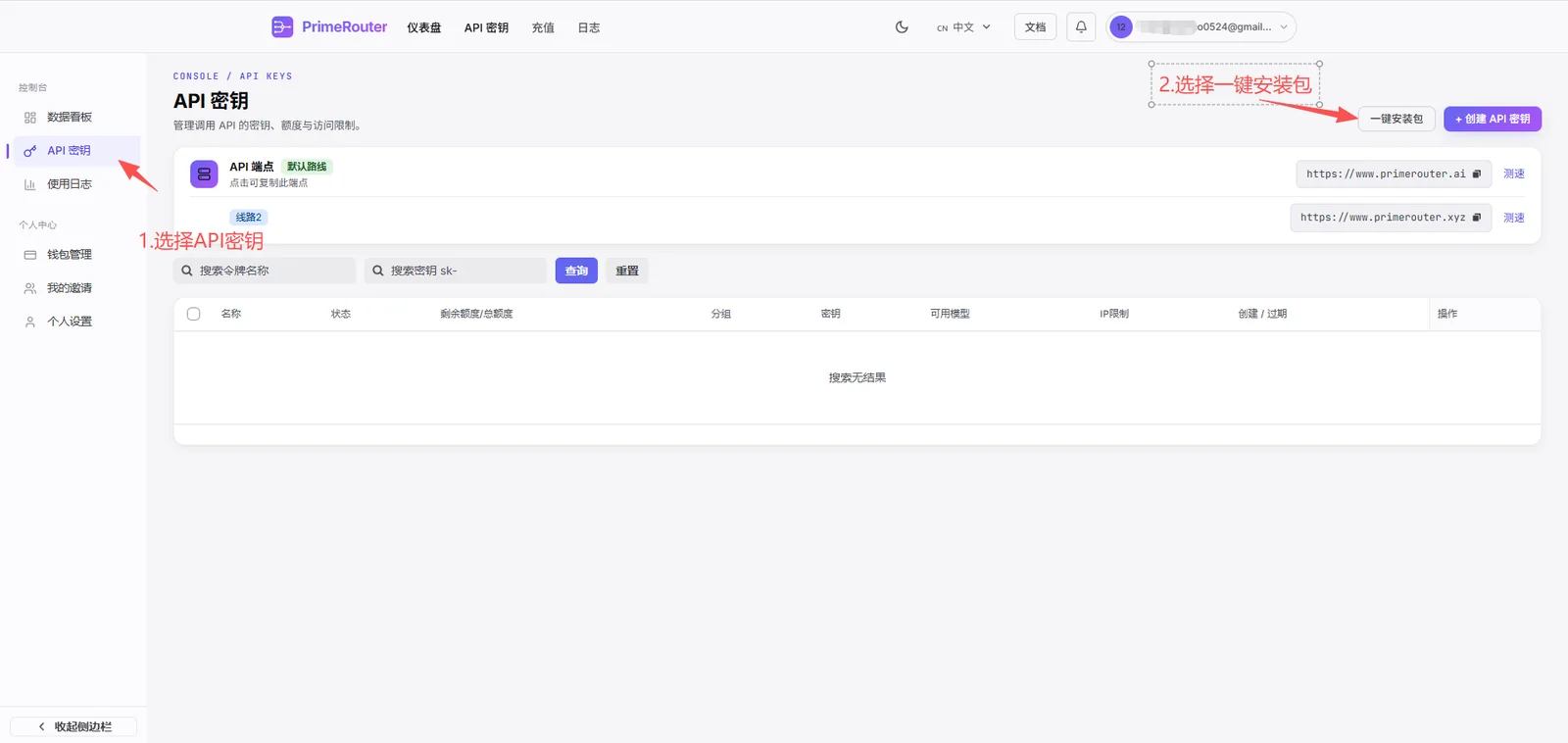 进入 API 密钥页面并点击一键安装包